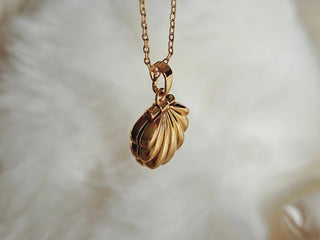 Pearl Sea shell 18carat Gold Vermeil Sterling Silver locket pendant necklace,adjustable chain, gift for her, freshwater ivory pearl